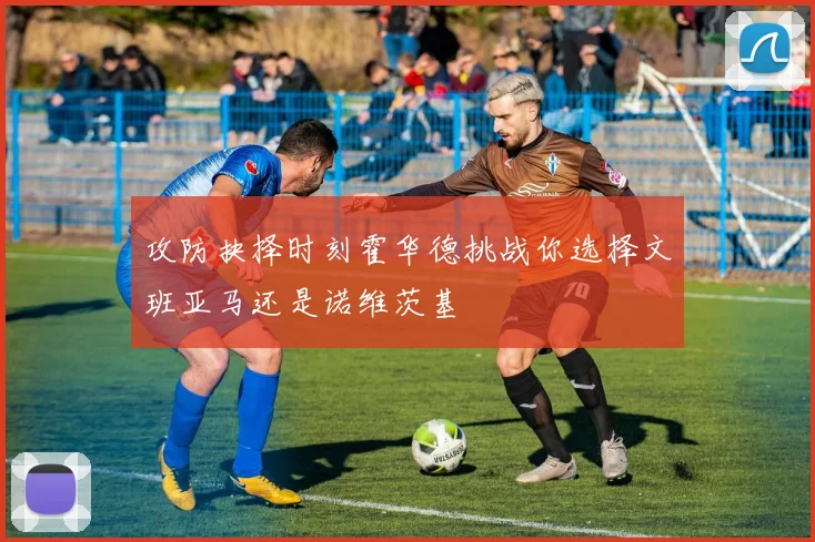 攻防抉择时刻霍华德挑战你选择文班亚马还是诺维茨基